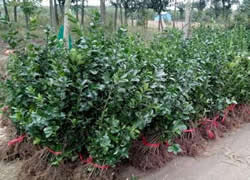 ���~�S��