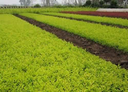 ���~ŮؑС��