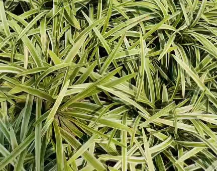 ���~����