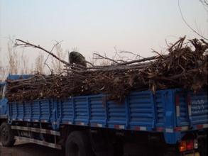 ��ľ�b܇(ch��)