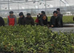 �͑�����