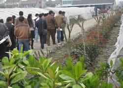 �͑�����