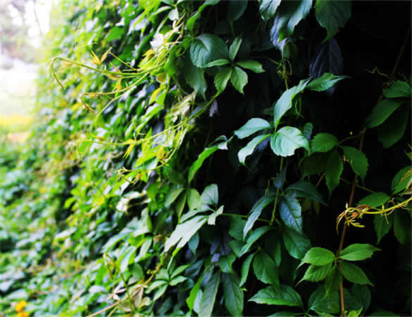 ���~���\