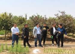 �͑�����