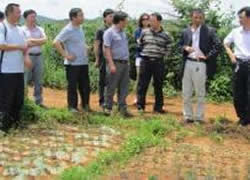 �͑�����